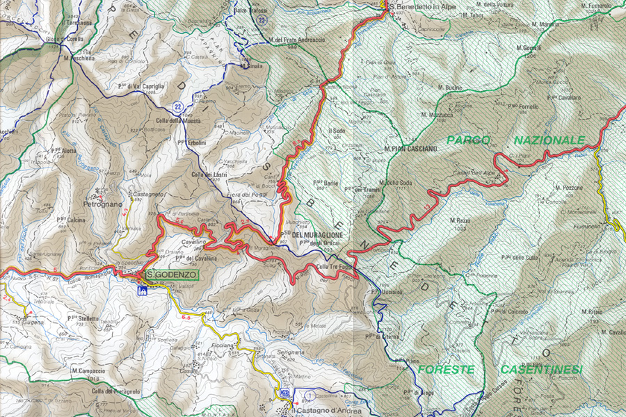 Passo del Muraglione-Colla Tre Faggi